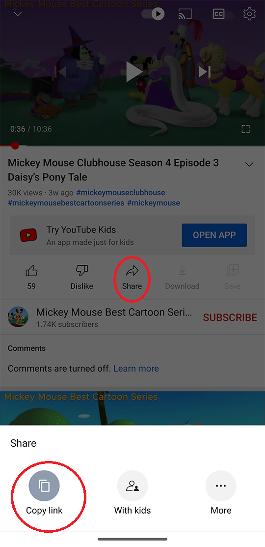 The screenshot of copying Youtube video link